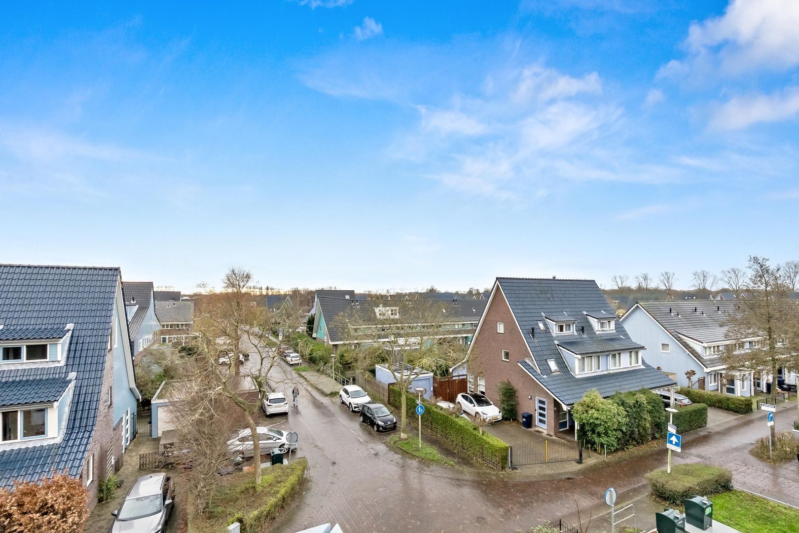 Cypergras 113, Den Haag foto-15 blur