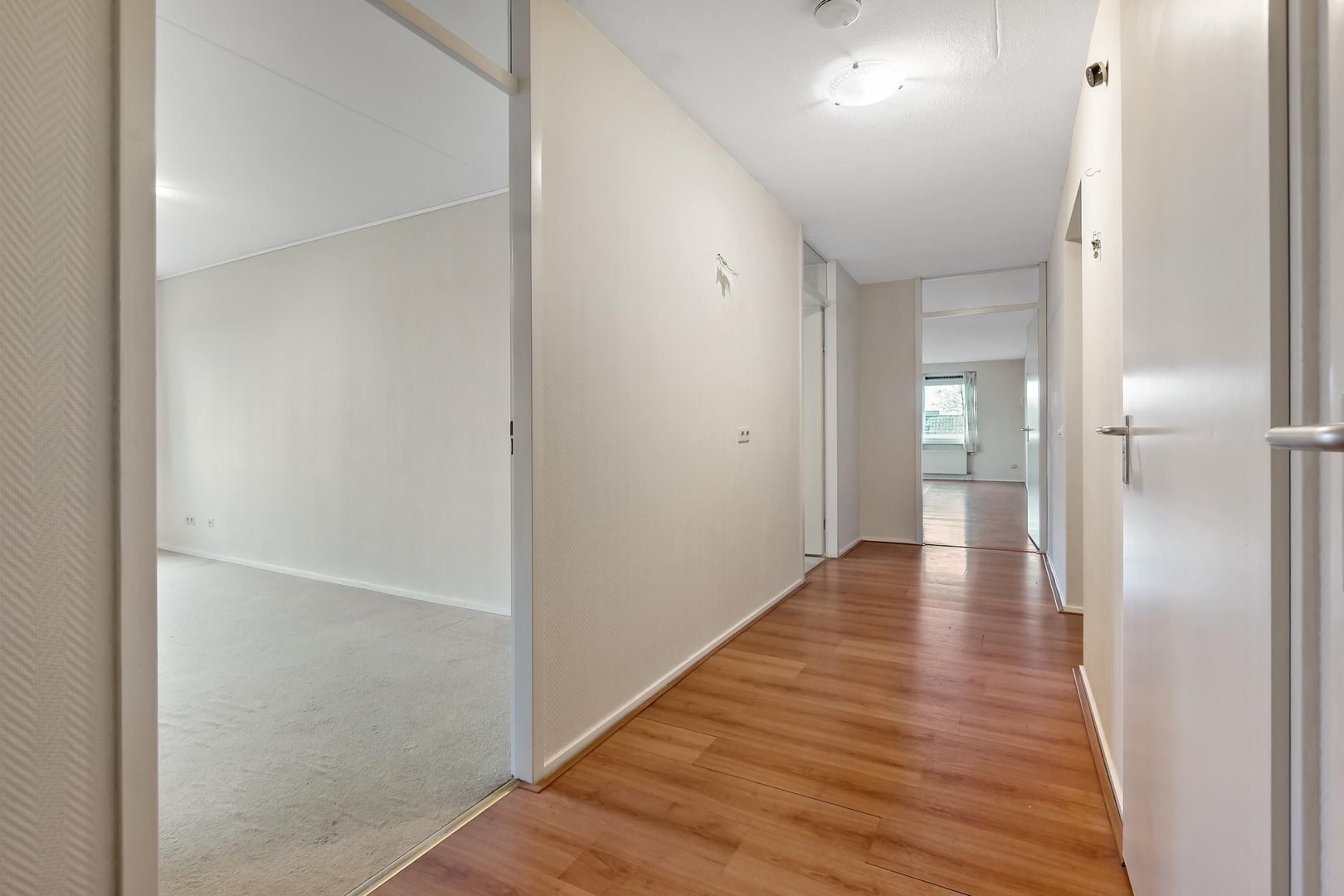 Cypergras 113, Den Haag foto-5 blur