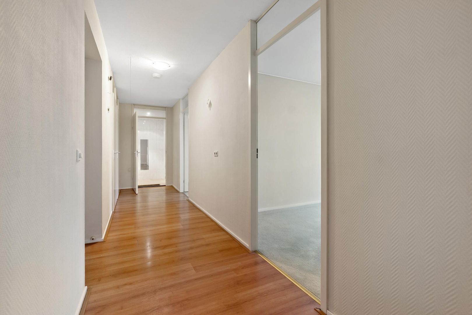 Cypergras 113, Den Haag foto-19 blur