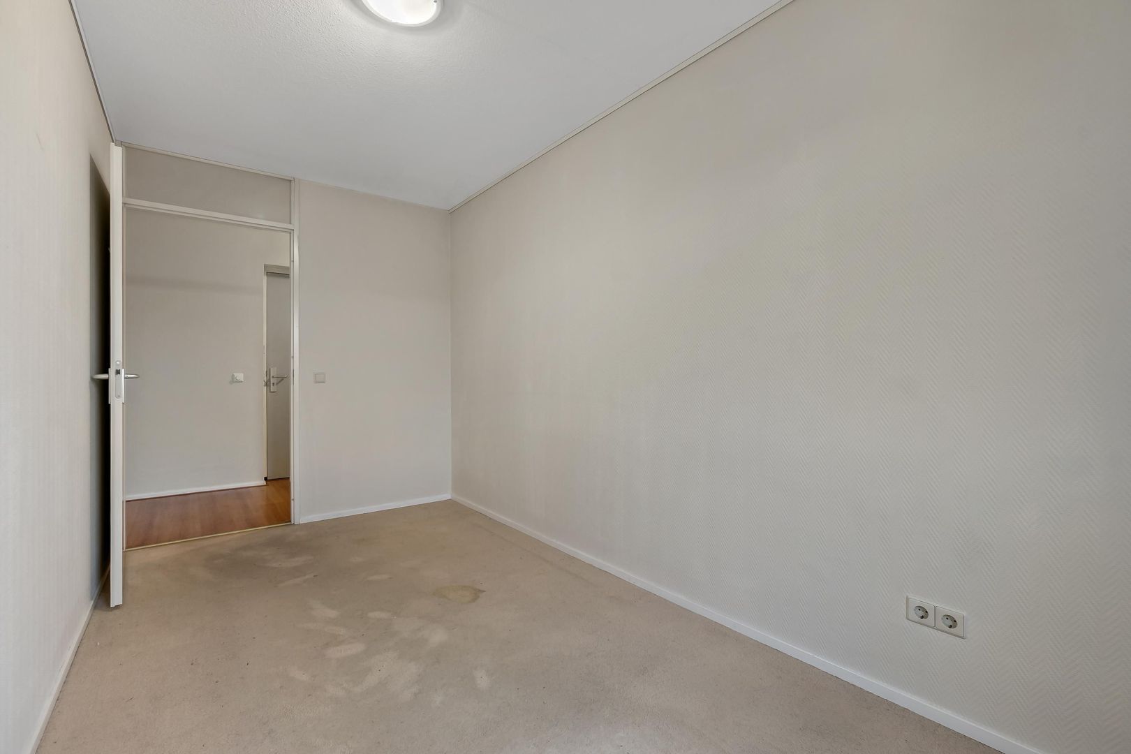 Cypergras 113, Den Haag foto-22 blur