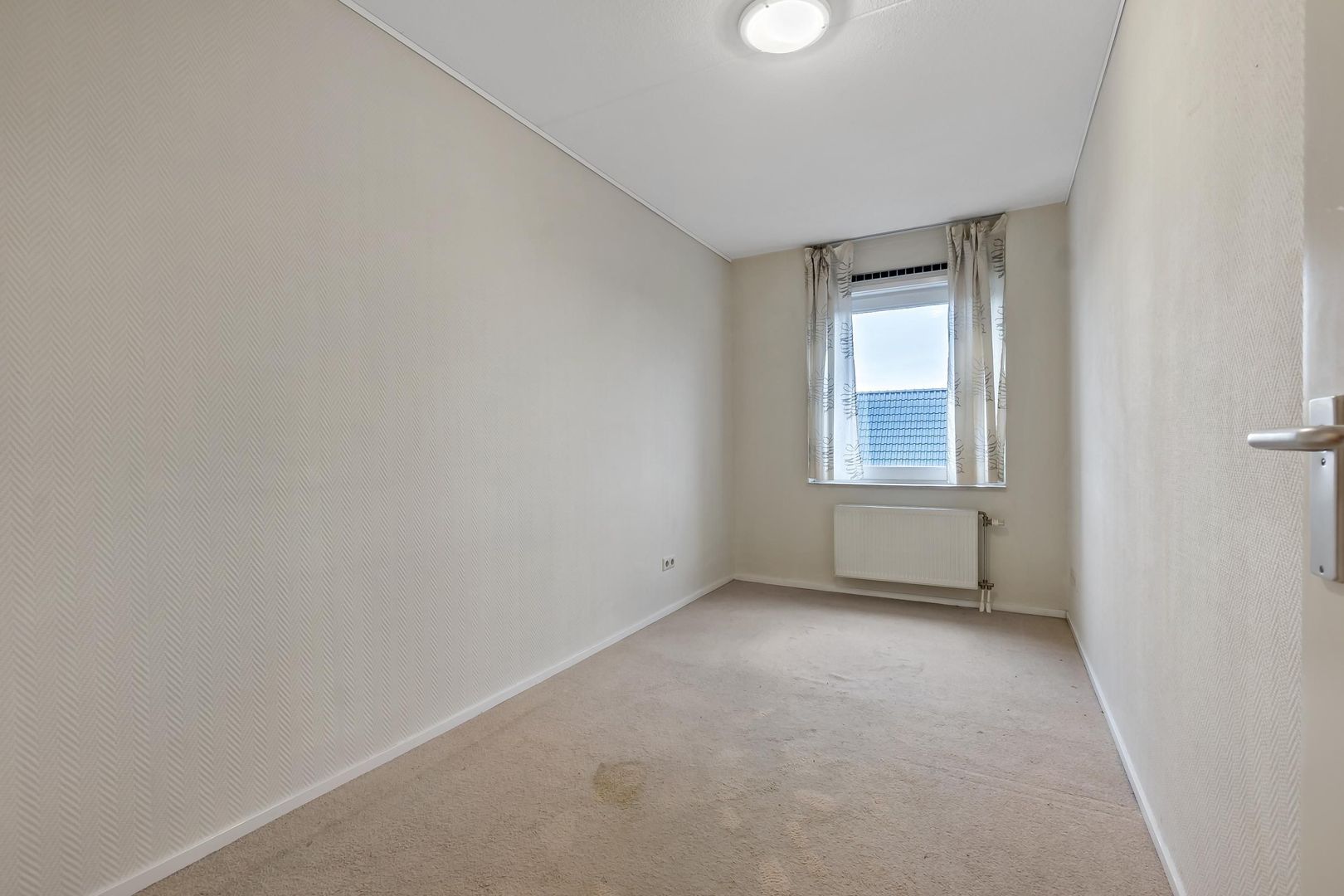 Cypergras 113, Den Haag foto-20 blur