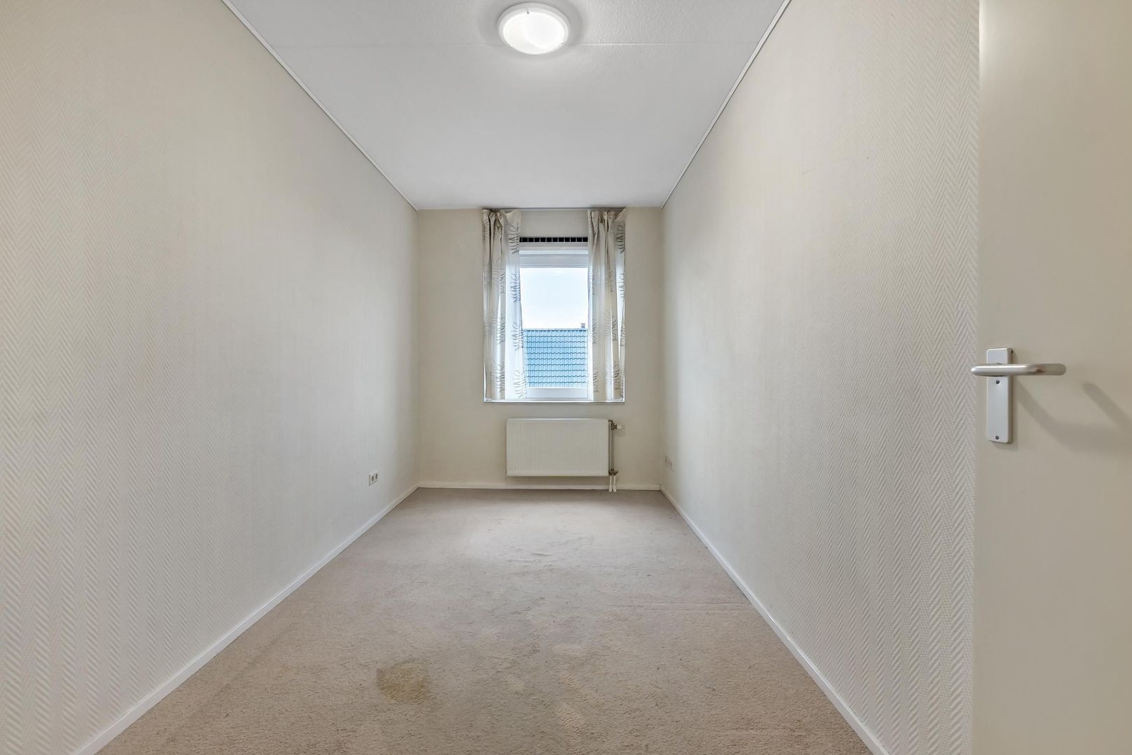 Cypergras 113, Den Haag foto-21 blur