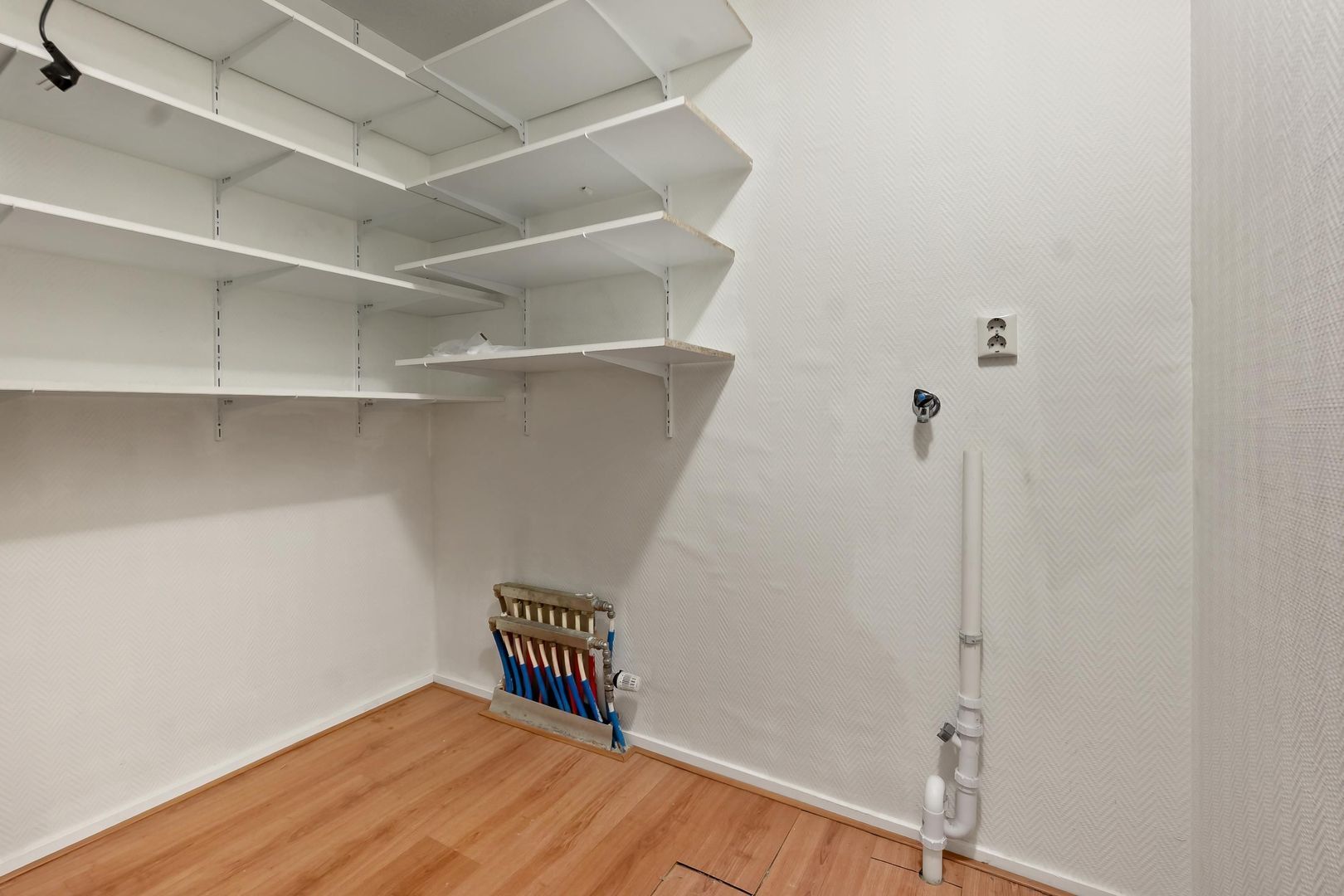 Cypergras 113, Den Haag foto-27 blur