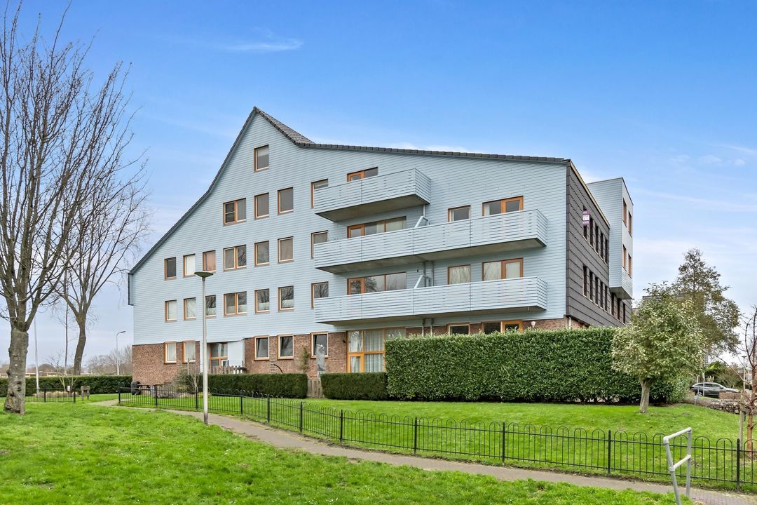 Cypergras 113, Den Haag