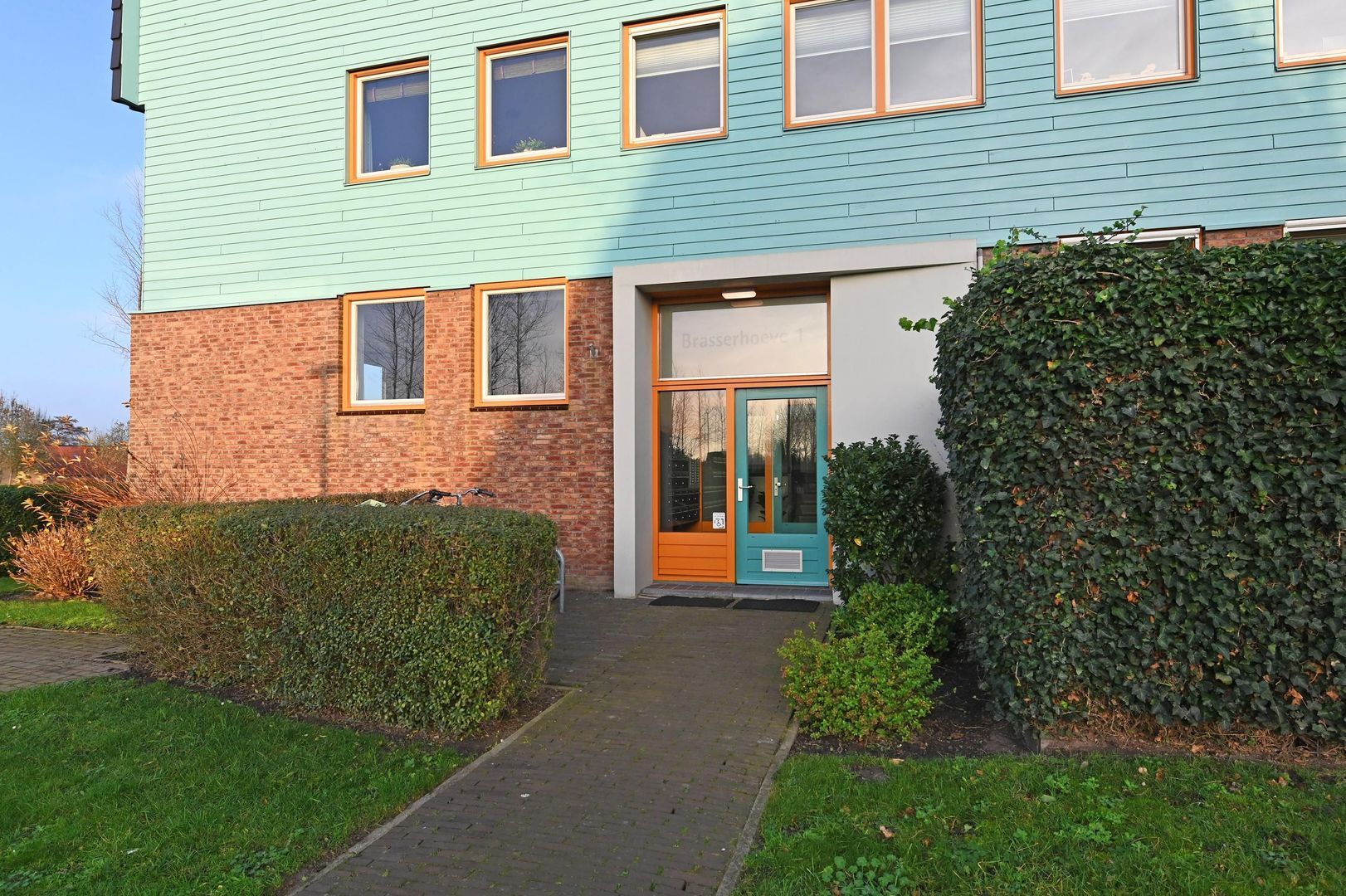 Cypergras 113, Den Haag foto-3 blur