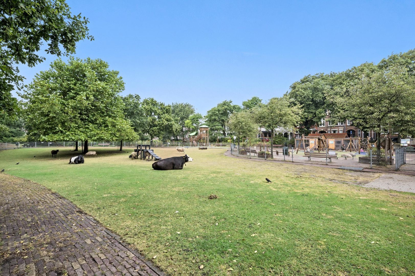 Rogstraat 11, Den Haag foto-89 blur