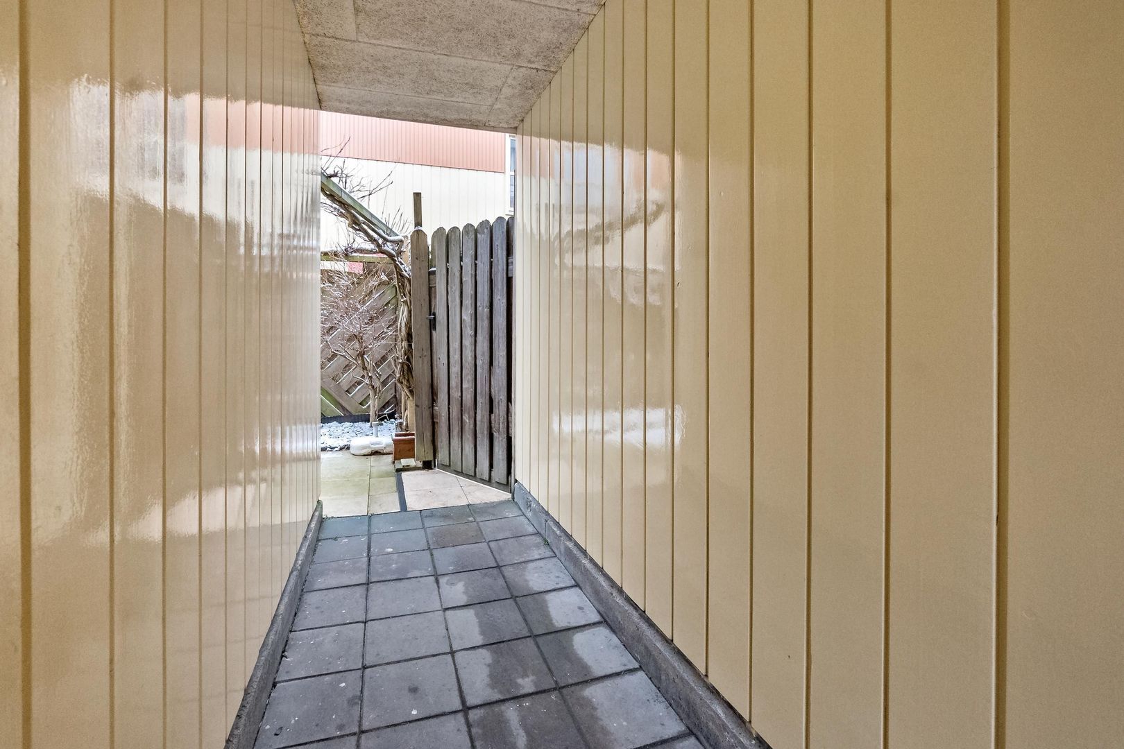 Rogstraat 11, Den Haag foto-78 blur