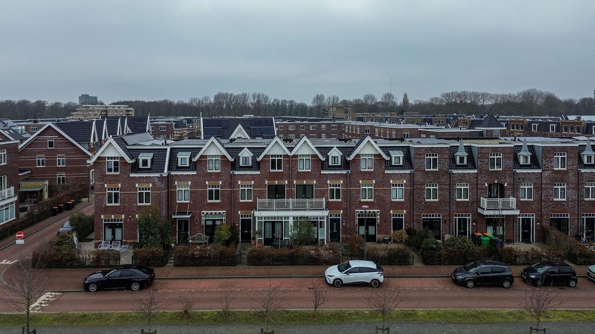 Ernest Hemingwaypark 30, Den Haag foto-48 blur