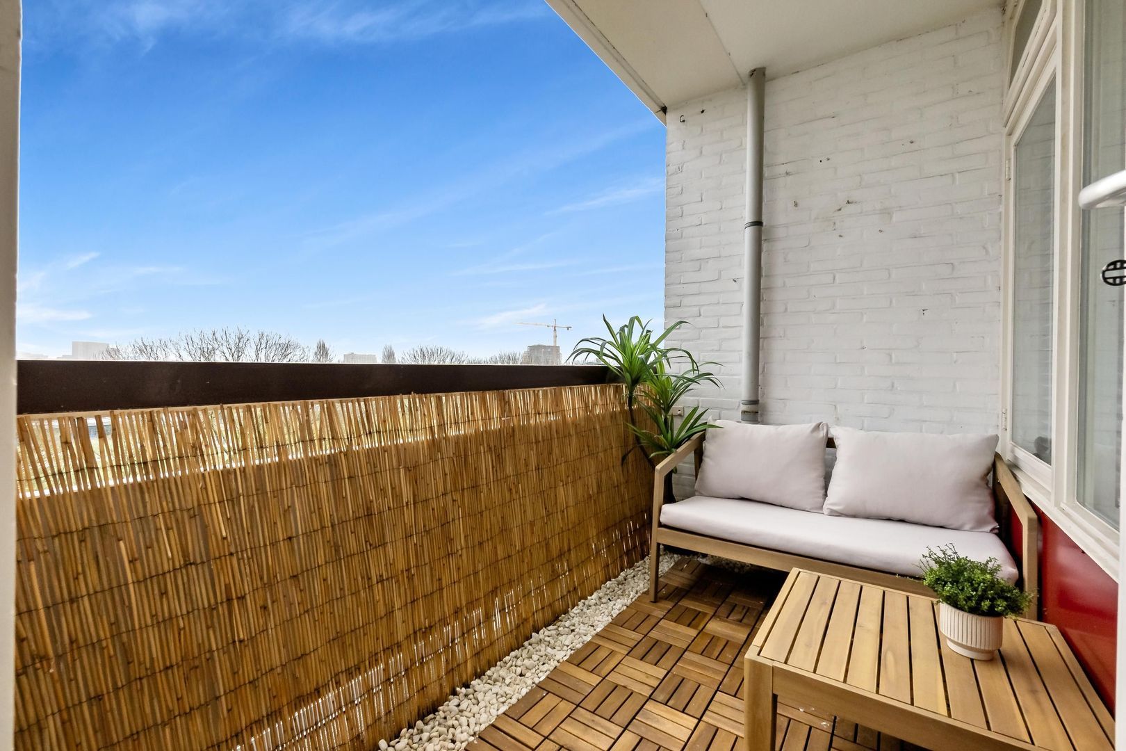 Bachstraat 134, Leiden foto-18 blur