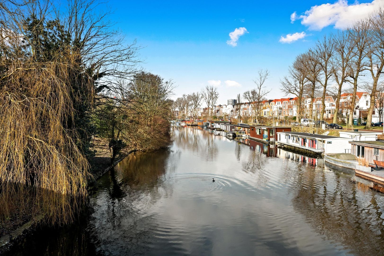 Archimedesstraat 77, Den Haag foto-61 blur