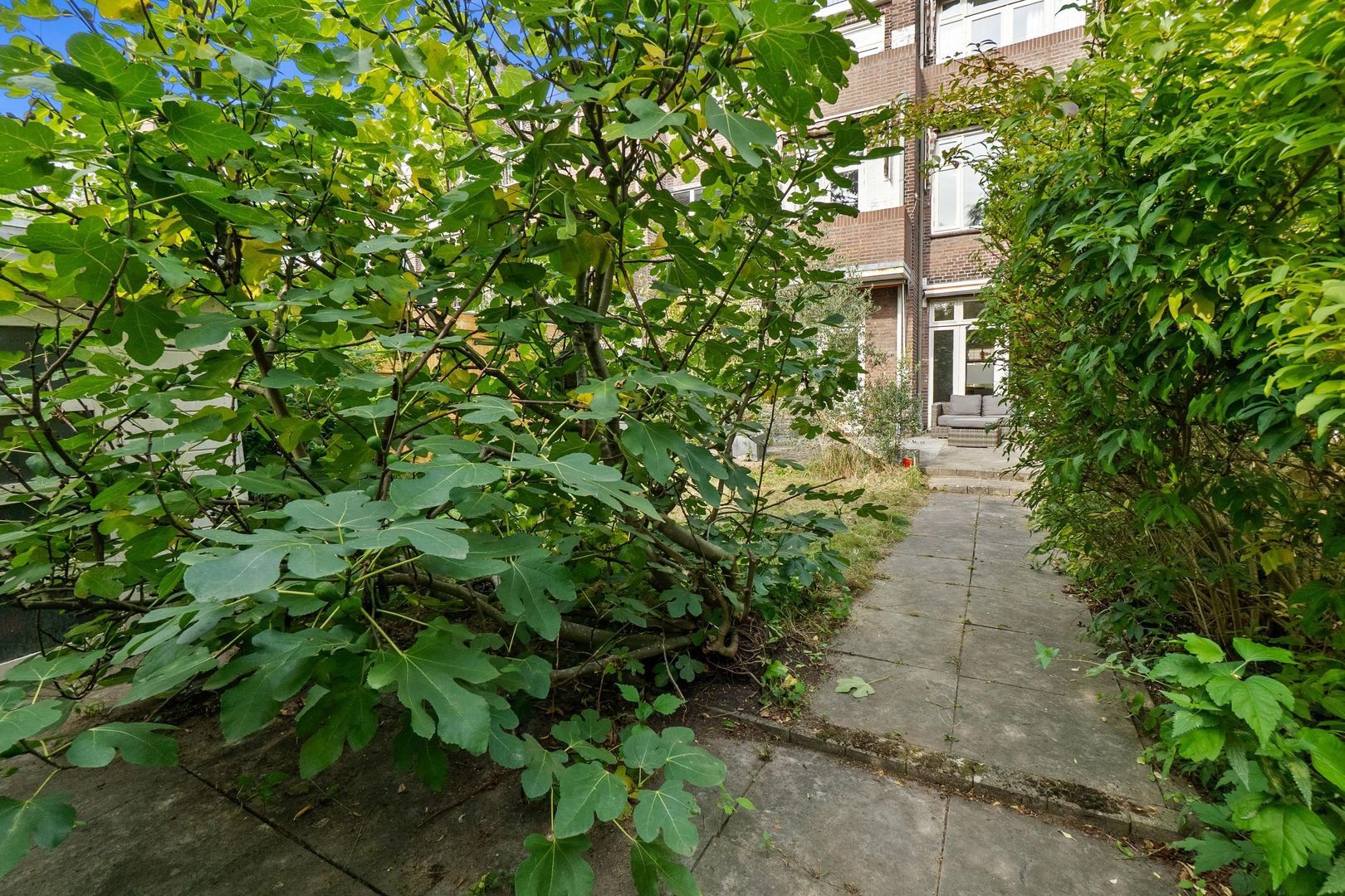 Hoge Rijndijk 101, Leiden foto-20 blur