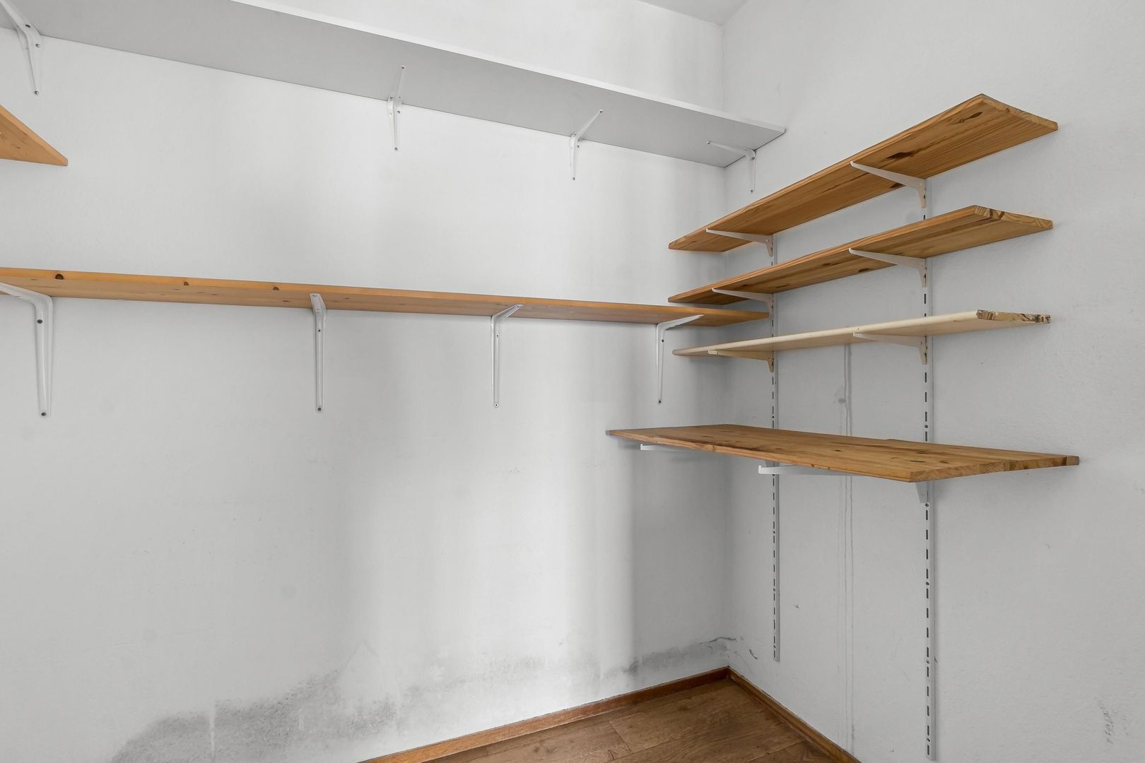 Molenzicht 33, Leiden foto-20 blur