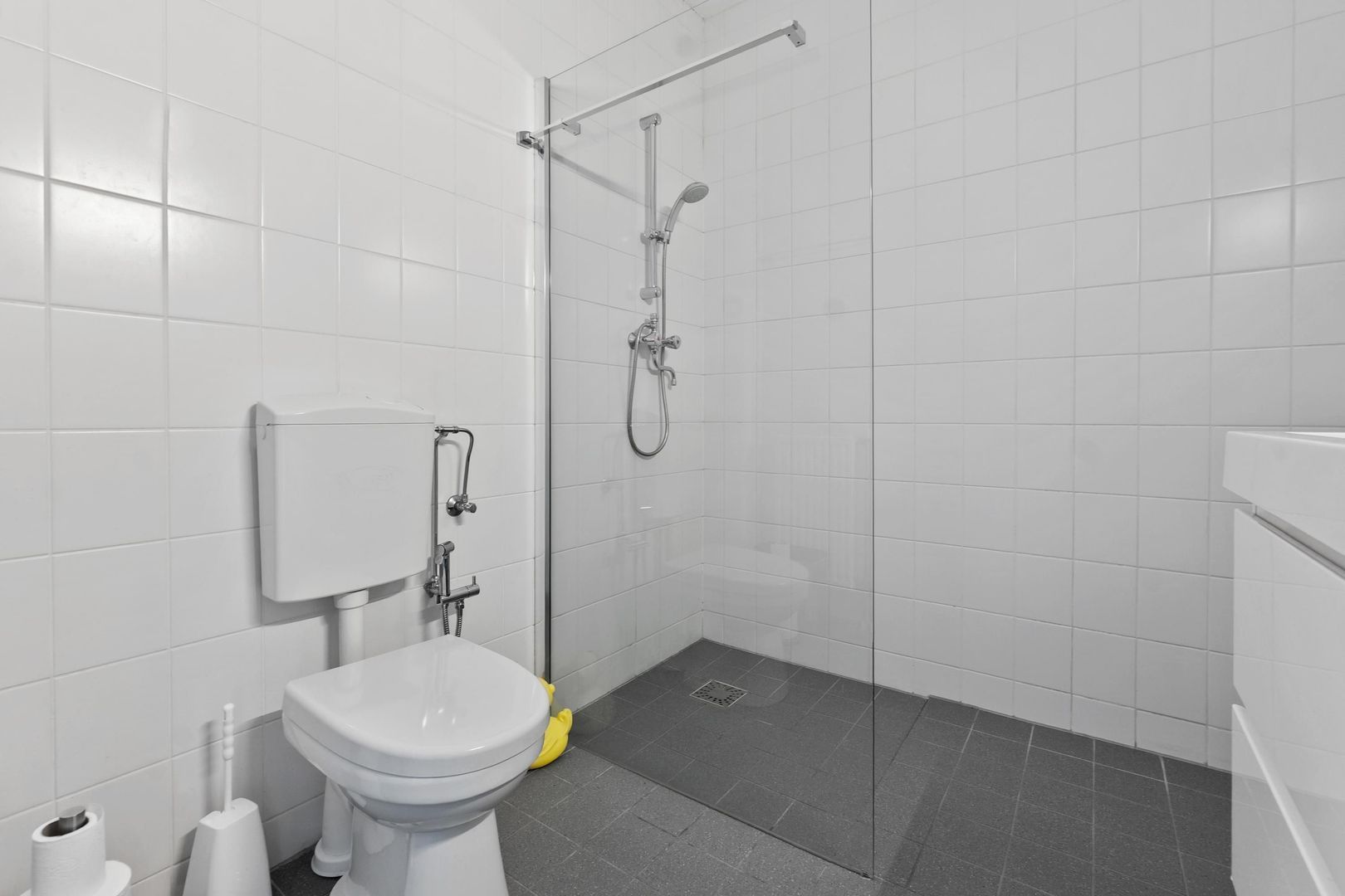 Hertenrade 229, Den Haag foto-26 blur