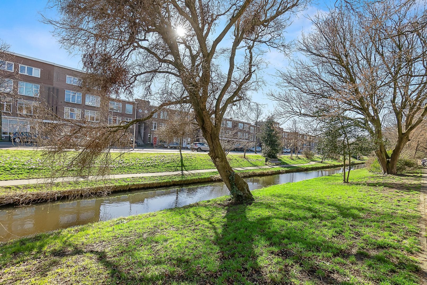 Mient 37, Den Haag foto-41 blur