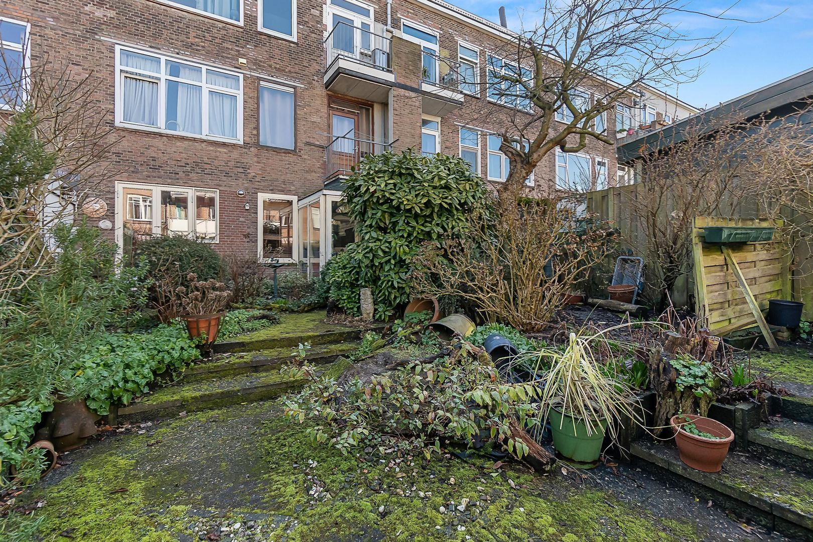 Mient 37, Den Haag foto-33 blur