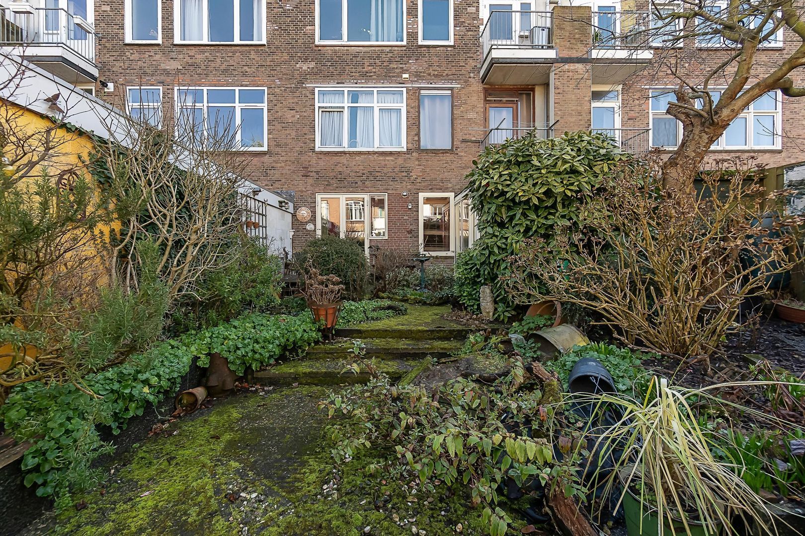 Mient 37, Den Haag foto-35 blur