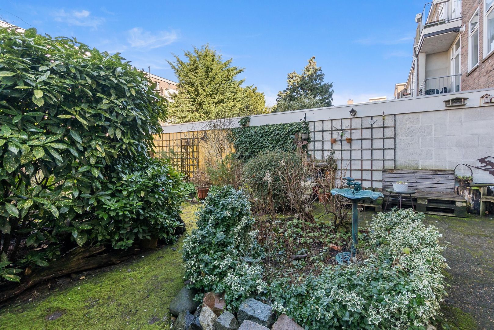 Mient 37, Den Haag foto-36 blur