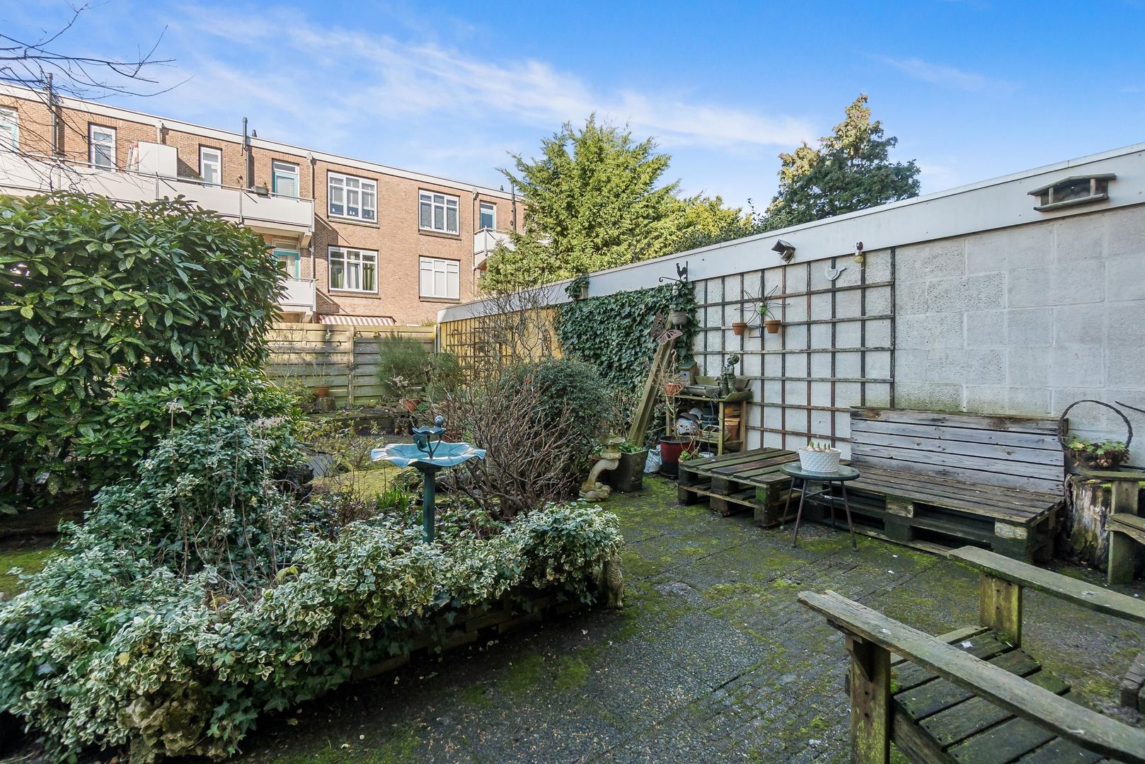 Mient 37, Den Haag foto-37 blur