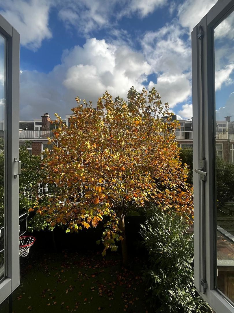 Ten Hovestraat 62, Den Haag foto-118 blur