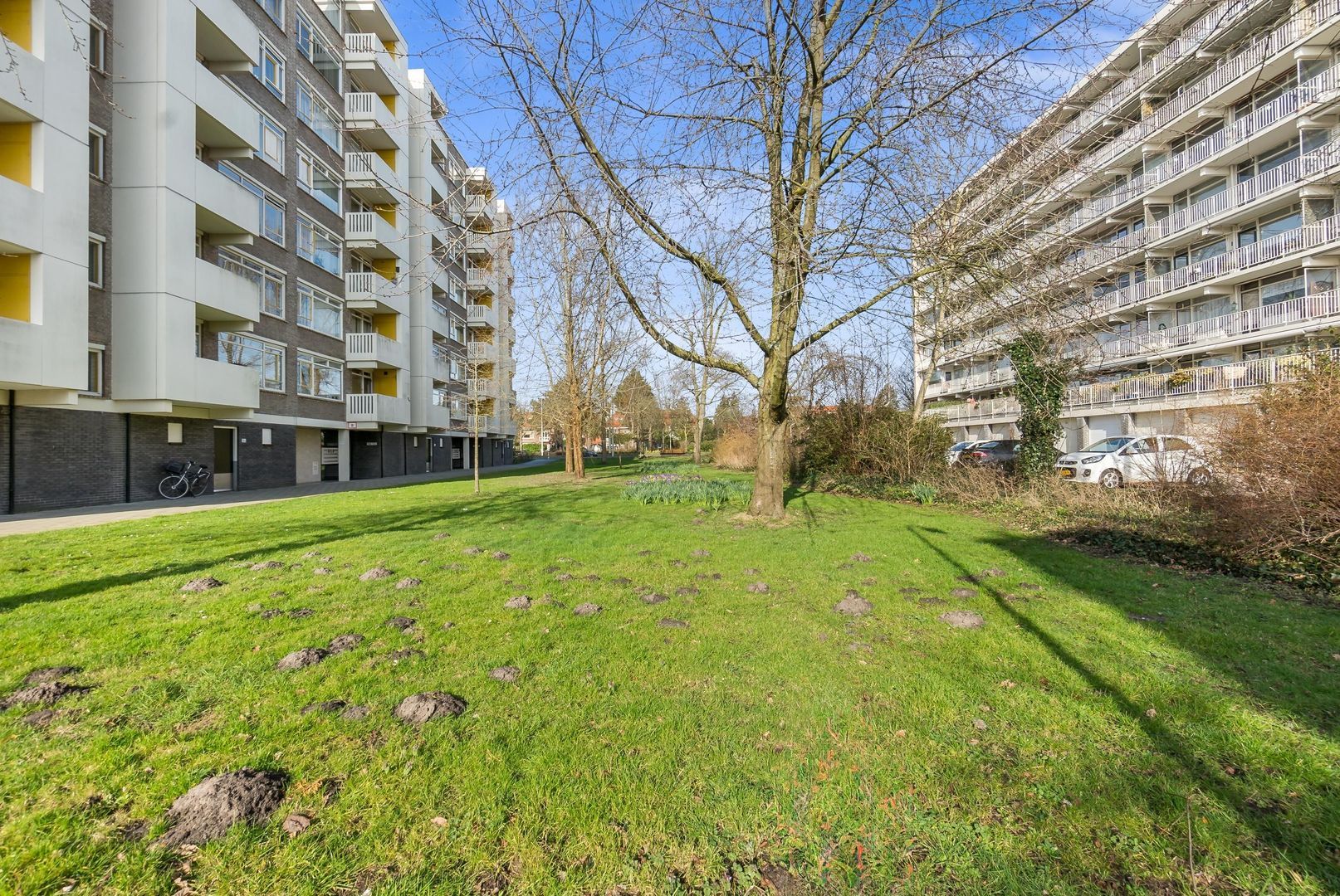 Suzannaland 166, Den Haag foto-51 blur