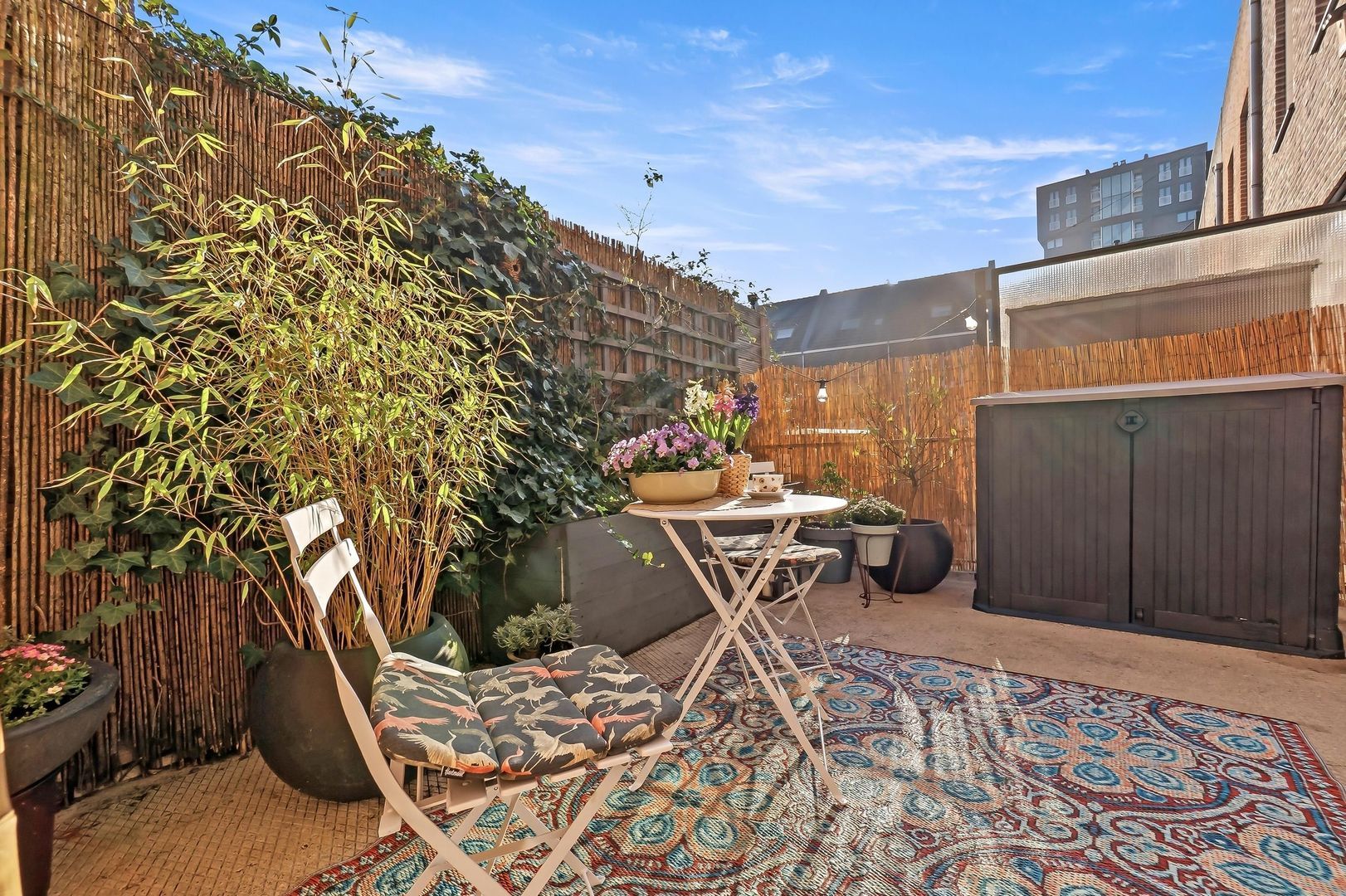 Hillebrant Jacobsplein 40, Den Haag foto-10 blur