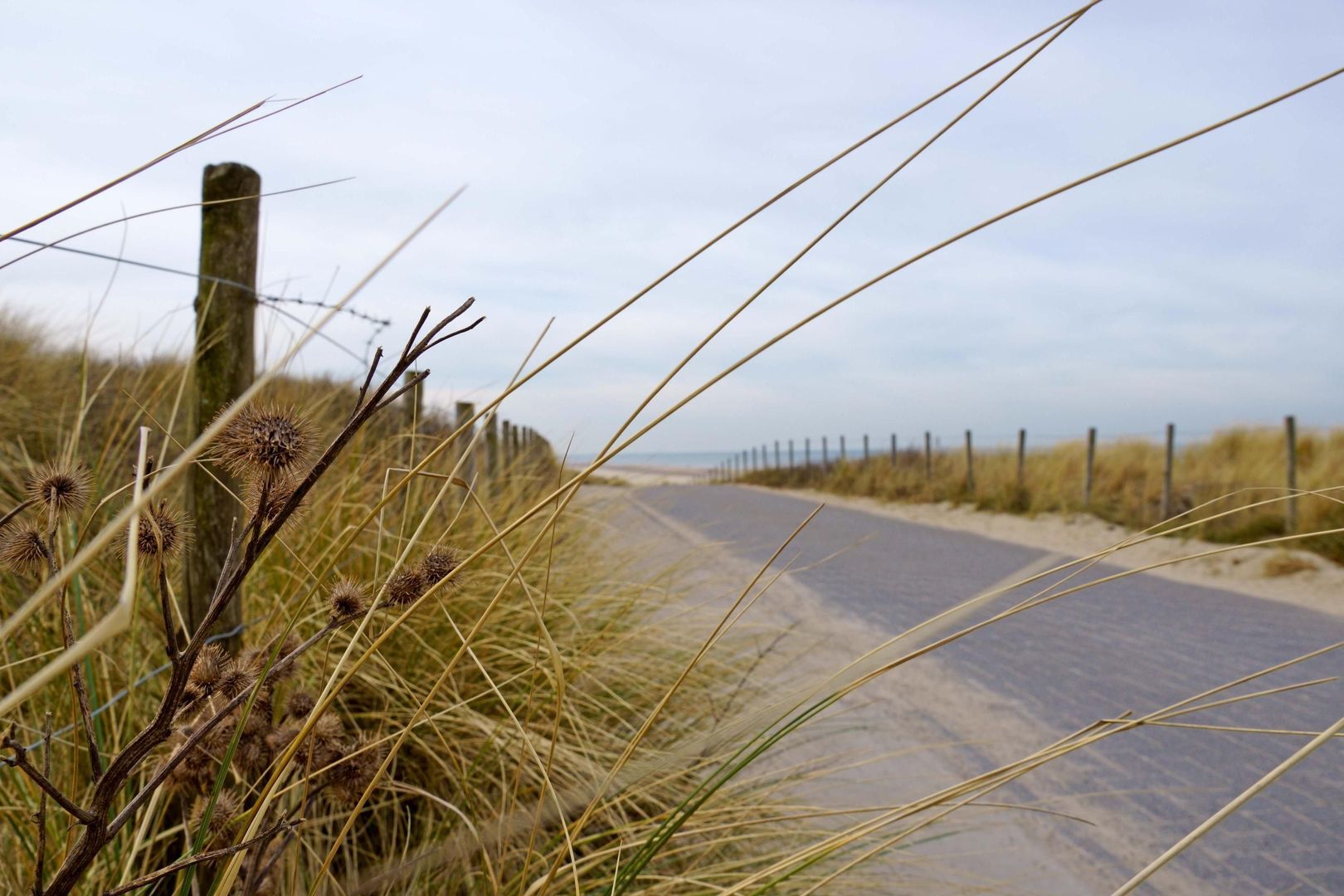 Godetiaweg 159, Den Haag foto-20 blur