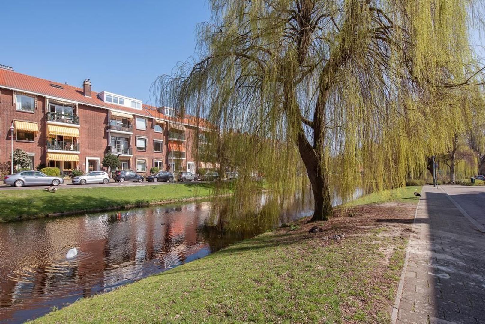 Rienzistraat 3, Den Haag foto-32 blur