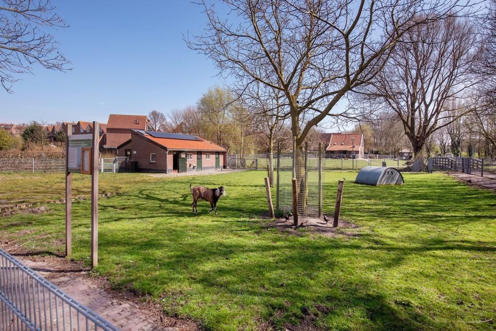 Rienzistraat 3, Den Haag foto-33 blur