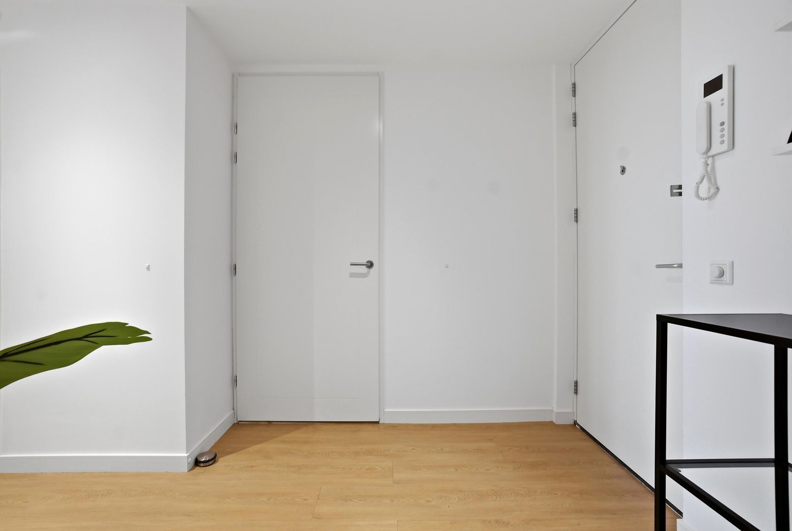 Turfhaven 14, Den Haag foto-62 blur