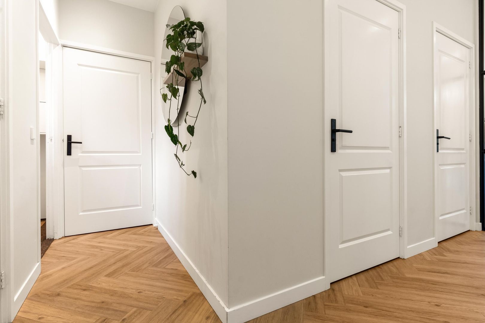 Johannes Camphuijsstraat 244, Den Haag foto-6 blur