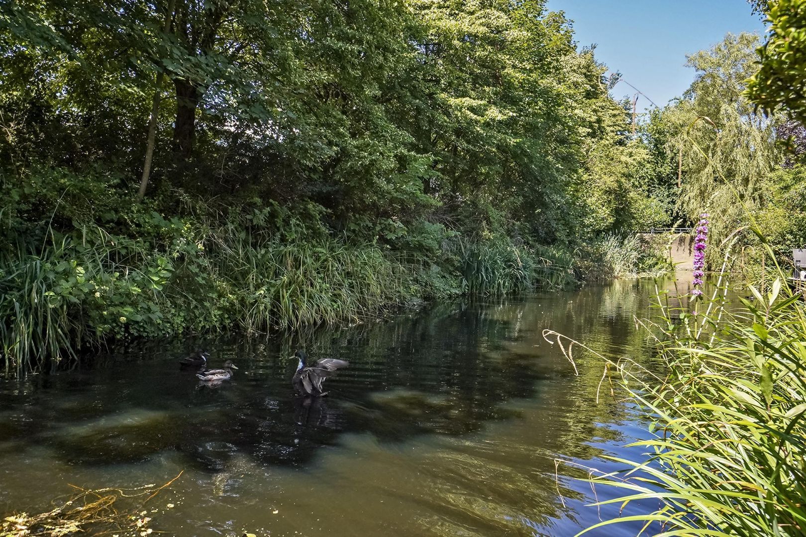 Buitenklingen 59, Den Haag foto-11 blur