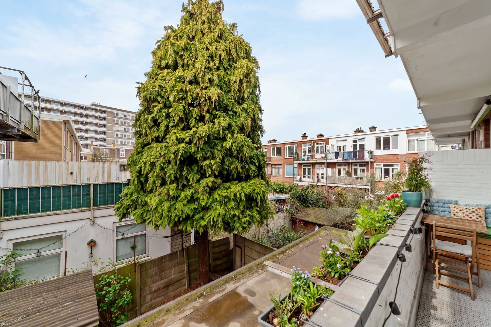 Oude Boomgaardstraat 14, Den Haag foto-10 blur