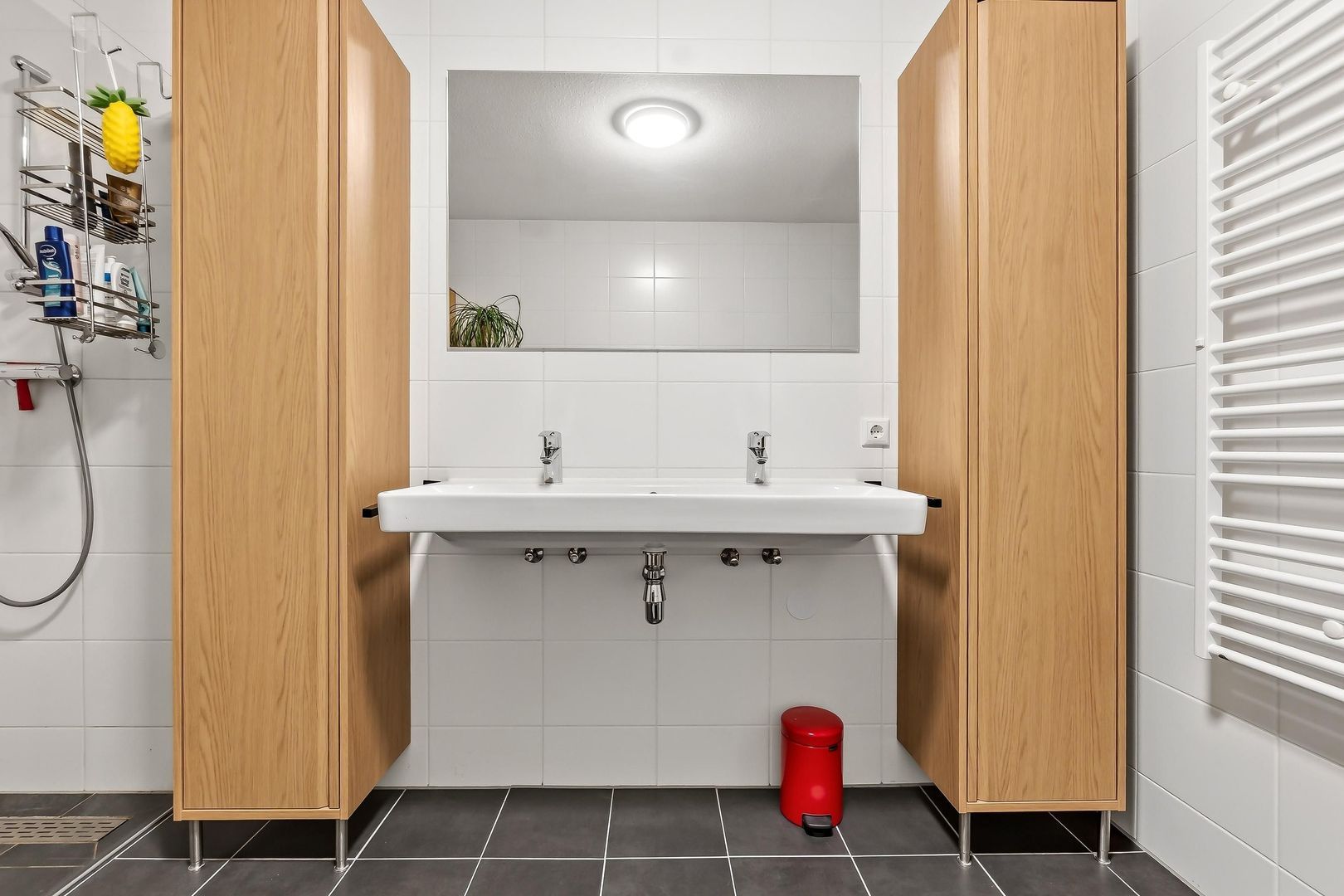 Ananasweg 32, Leiden foto-34 blur