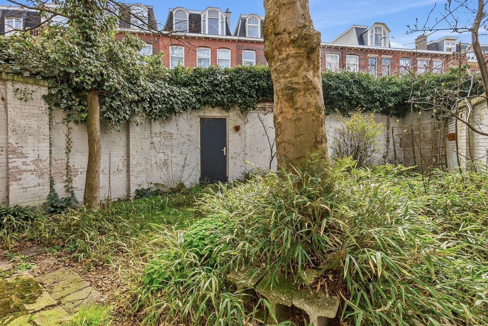 Archimedesstraat 64, Den Haag foto-7 blur