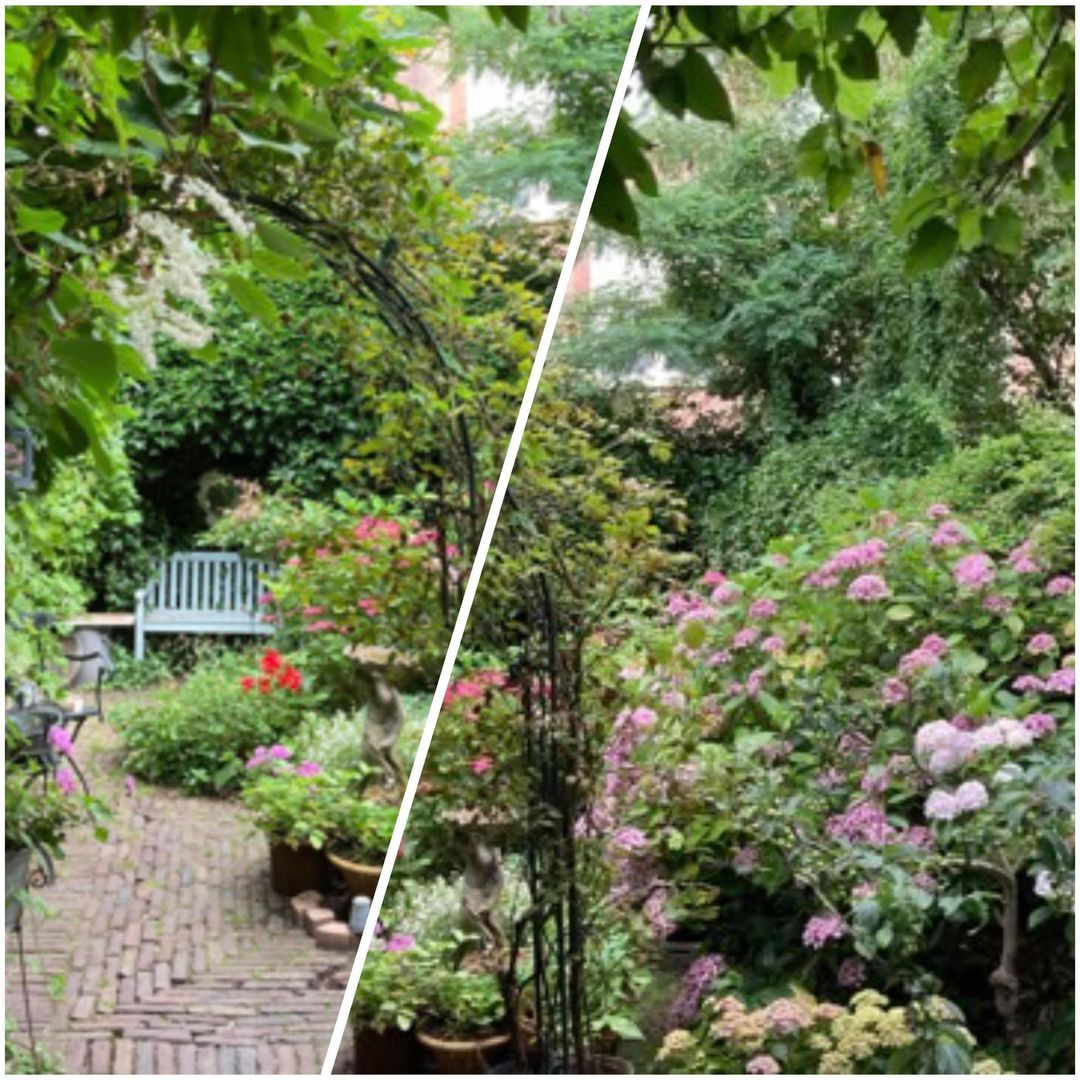 Frederik Hendriklaan 22, Den Haag foto-18 blur