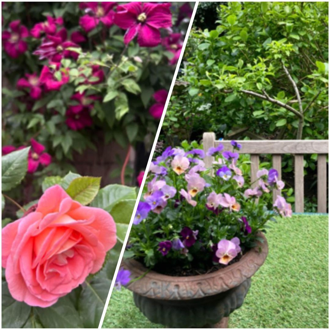 Frederik Hendriklaan 22, Den Haag foto-21 blur