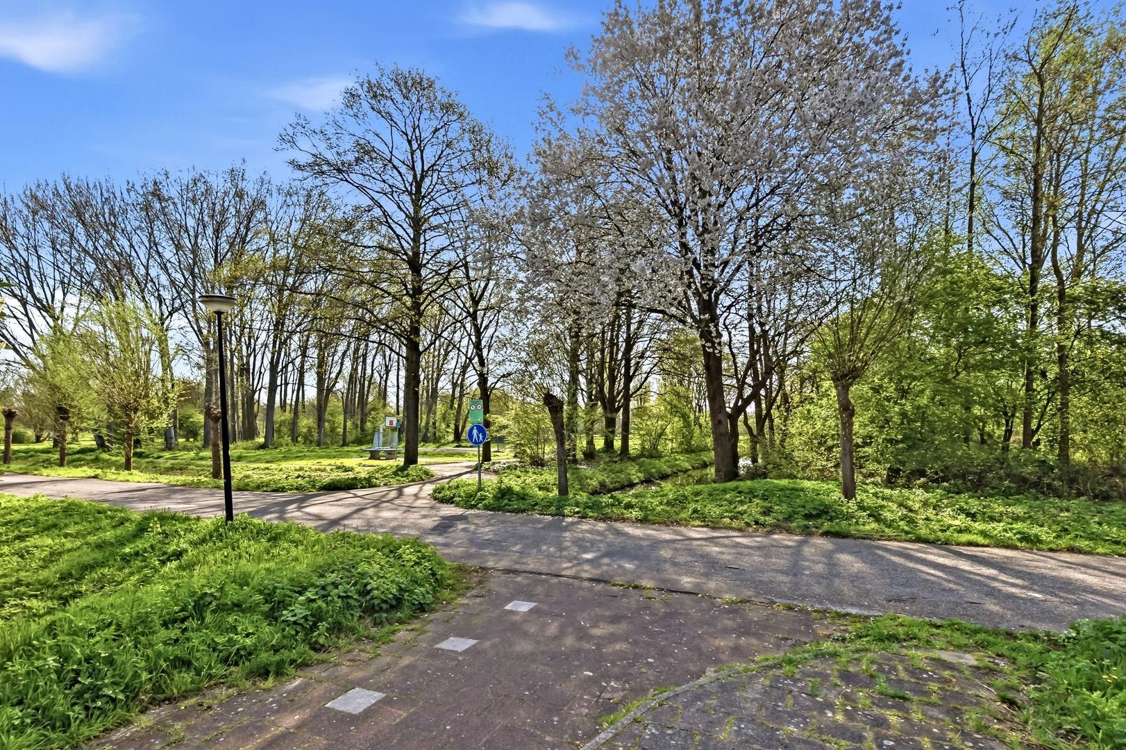 Burgemeester Cochiuslaan 3, Rijswijk foto-46 blur