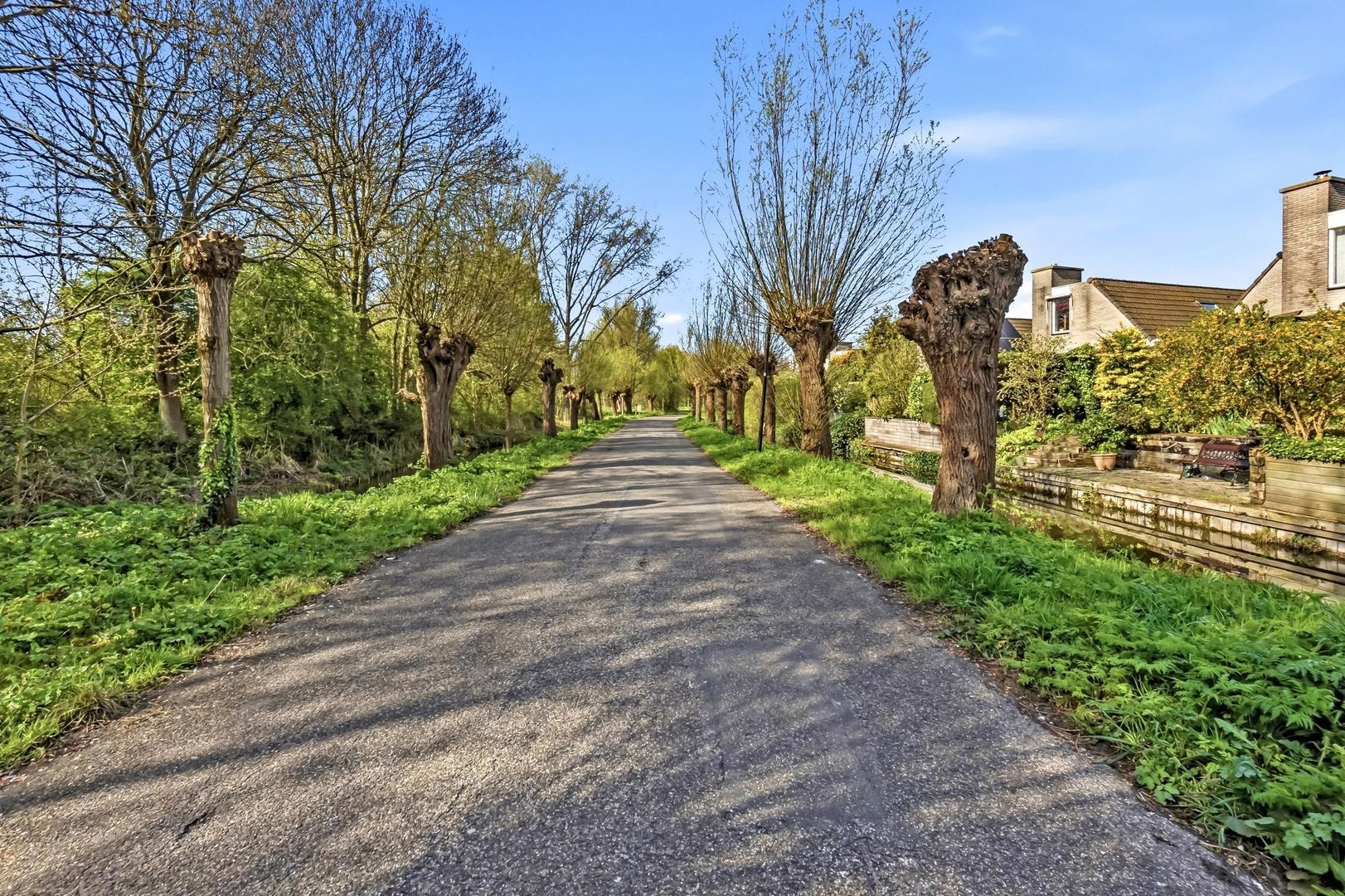 Burgemeester Cochiuslaan 3, Rijswijk foto-47 blur