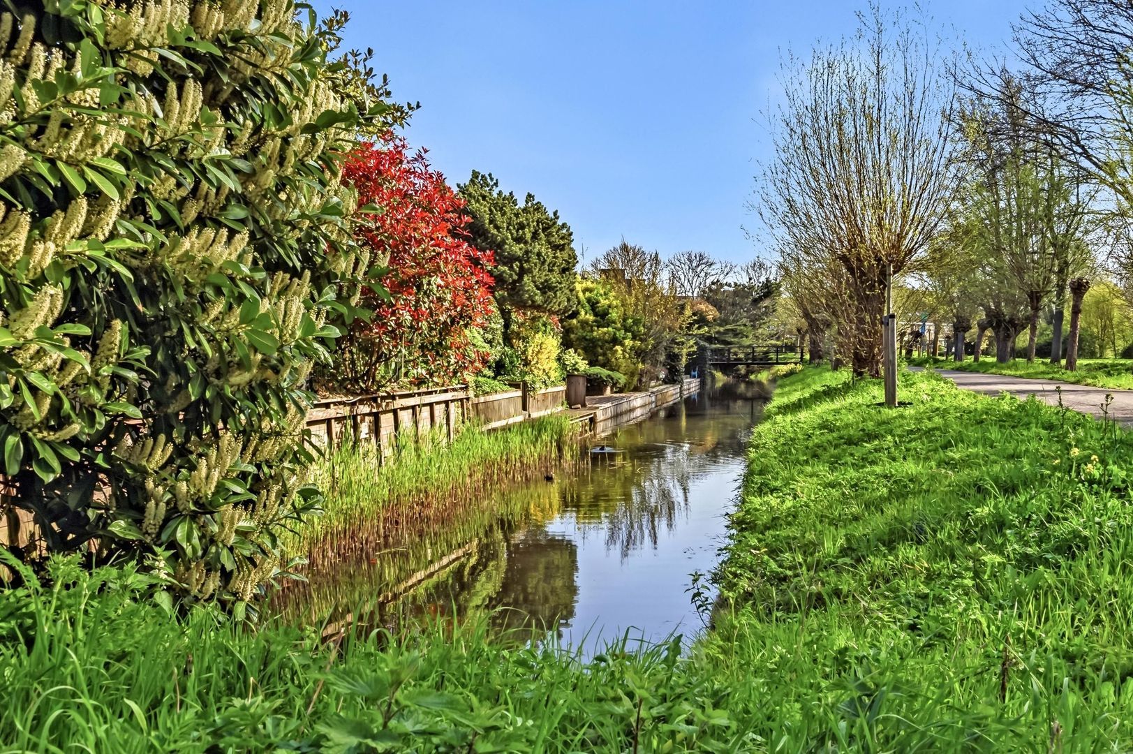 Burgemeester Cochiuslaan 3, Rijswijk foto-48 blur