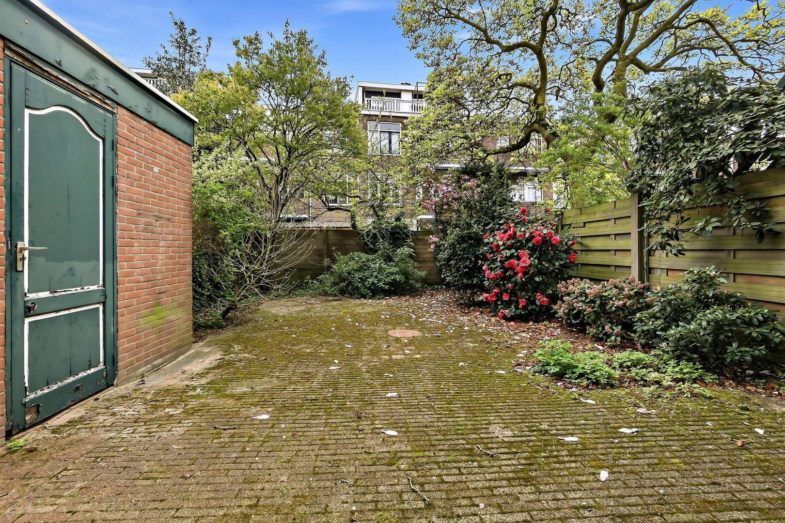 Aalbessenstraat 34, Den Haag foto-25 blur