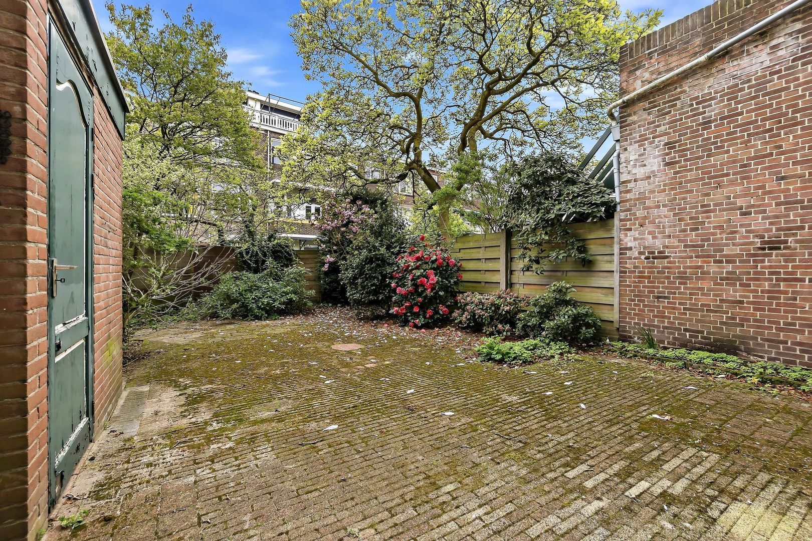 Aalbessenstraat 34, Den Haag foto-26 blur