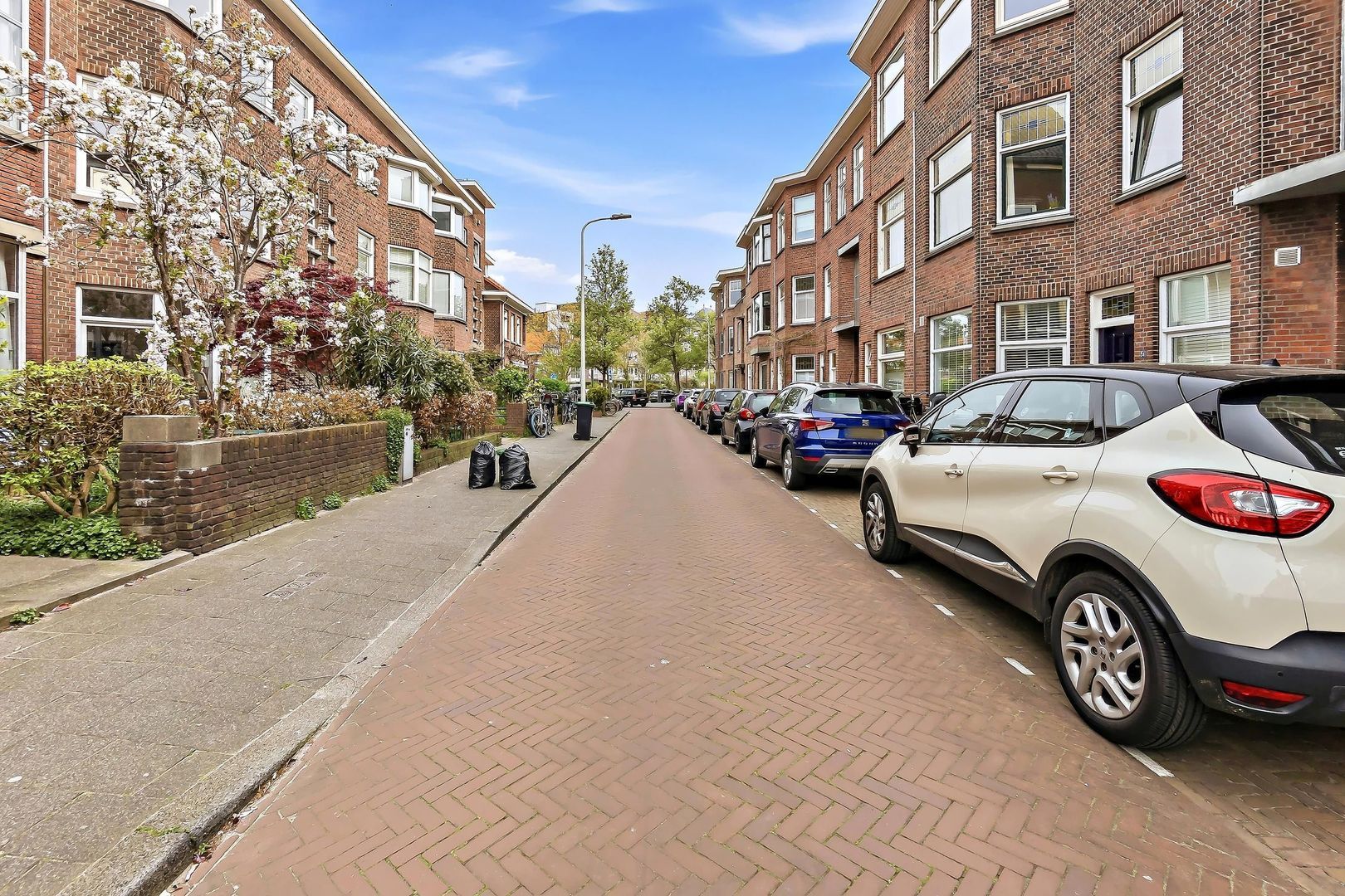 Aalbessenstraat 34, Den Haag foto-30 blur