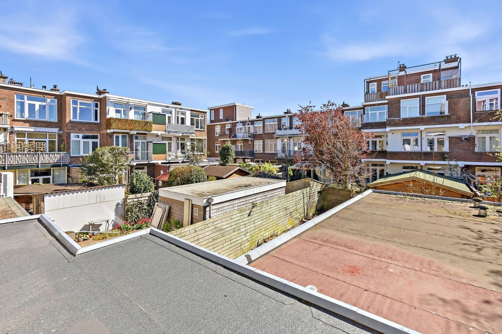 Vlierboomstraat 602, Den Haag foto-14 blur