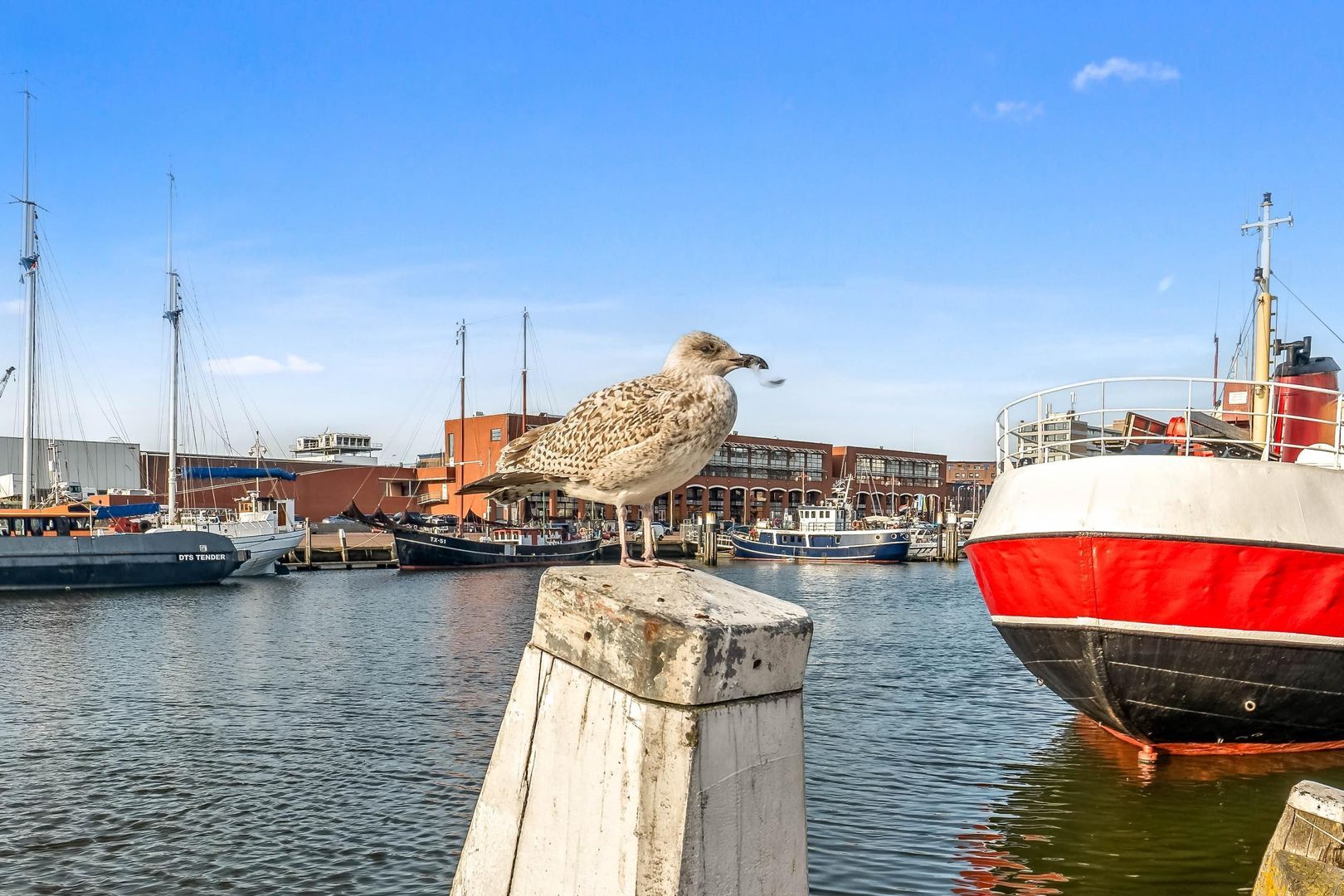 Koppelstokstraat 37, Den Haag foto-43 blur