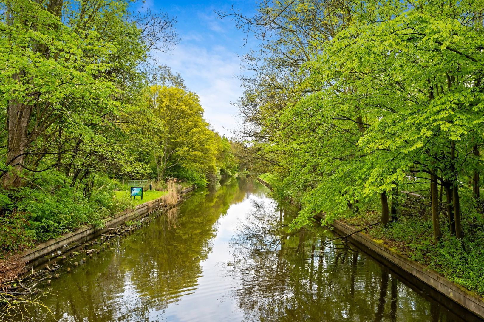 Thomas Mannsingel 18 A, Den Haag foto-32 blur