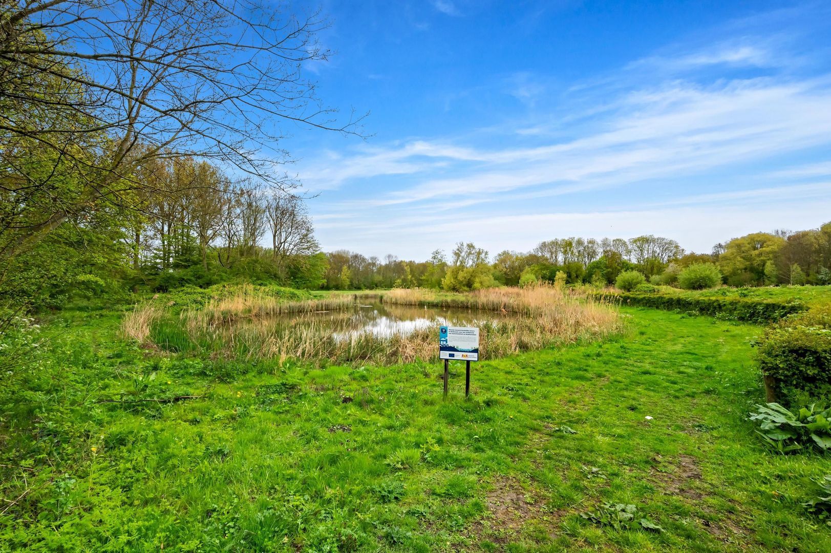 Thomas Mannsingel 18 A, Den Haag foto-31 blur