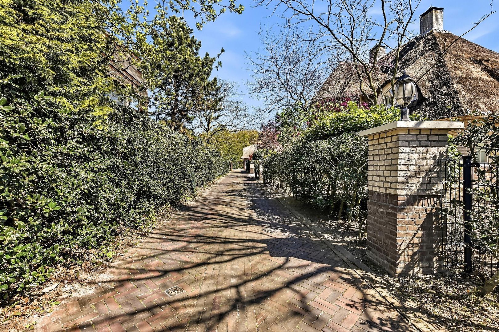 Gravin Machteldlaan 23, Den Haag foto-74 blur
