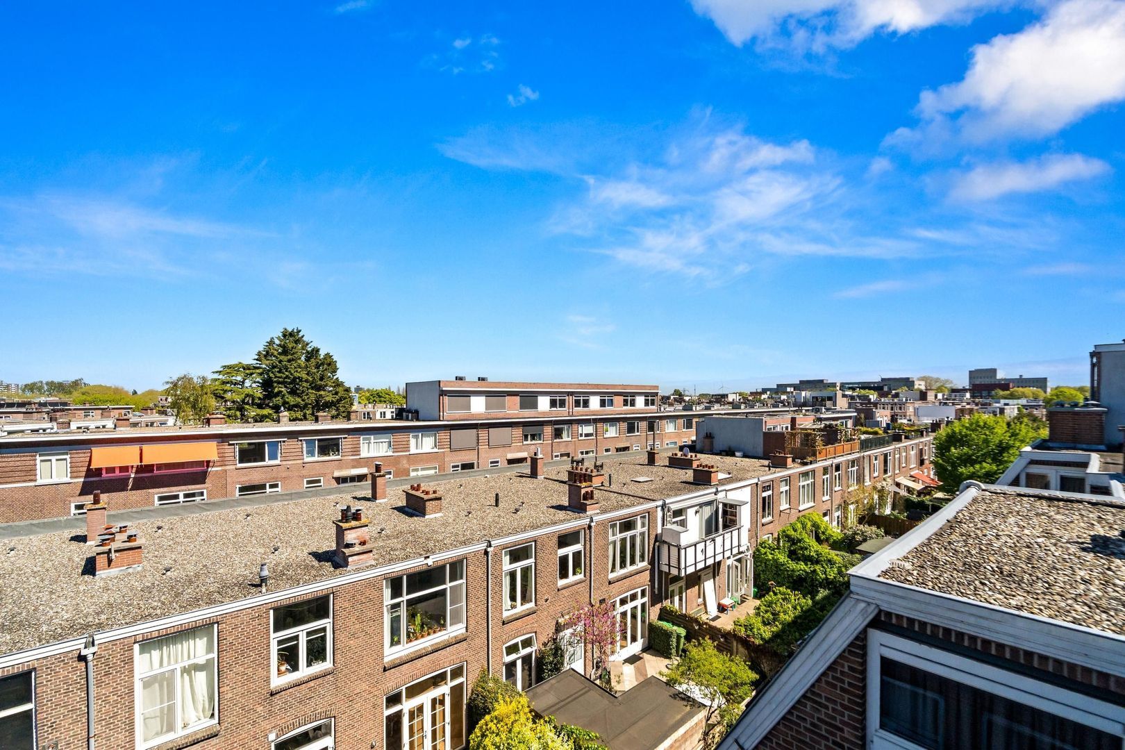 Johannes Camphuijsstraat 164, Den Haag foto-33 blur
