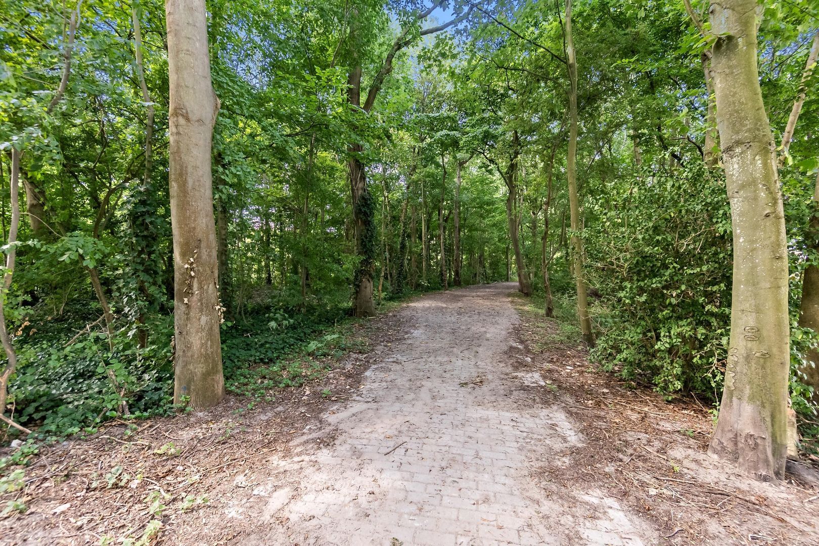 Oostmadeweg 15, Den Haag foto-43 blur