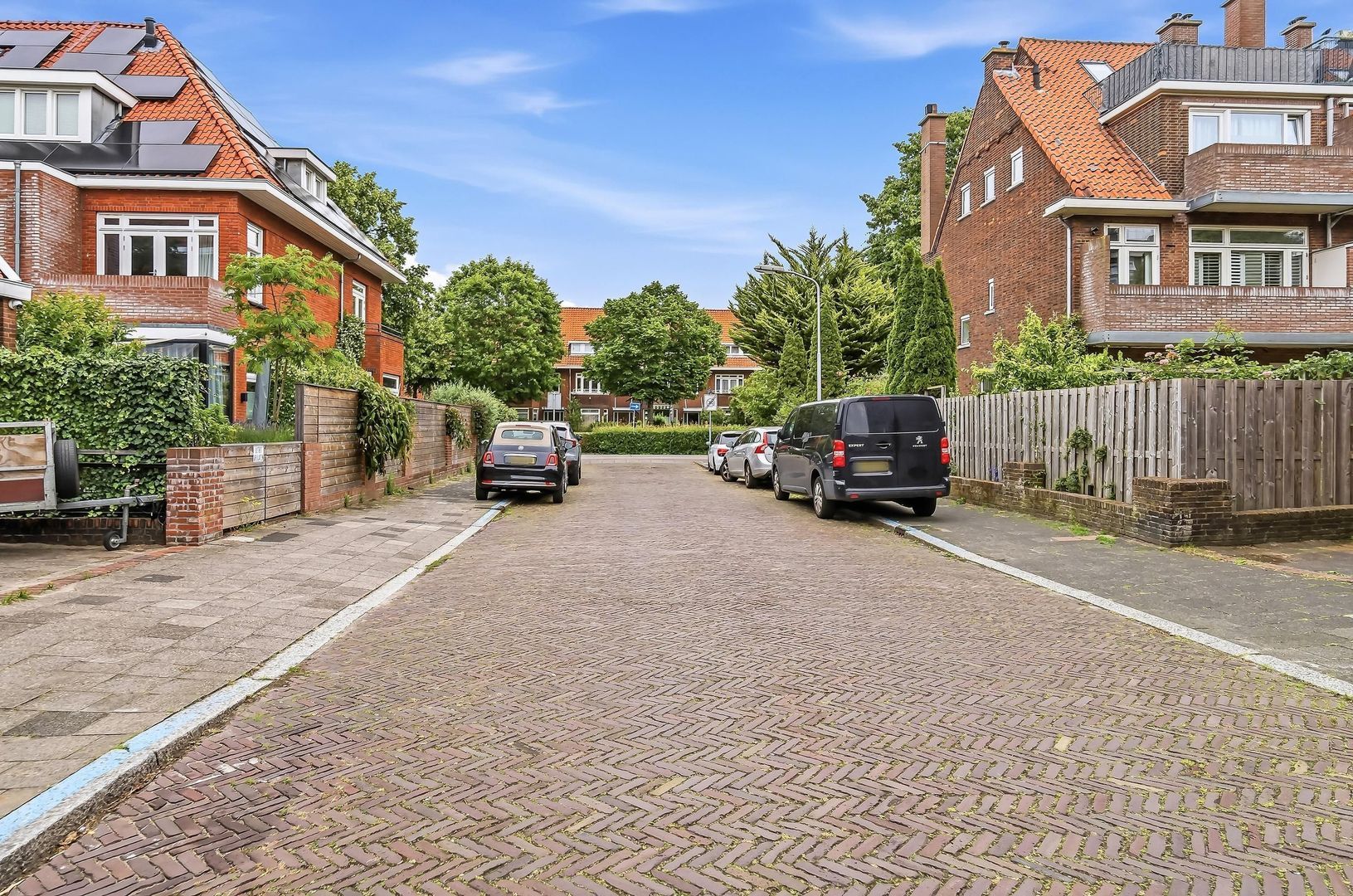 van Naeltwijckstraat 237, Voorburg foto-60 blur